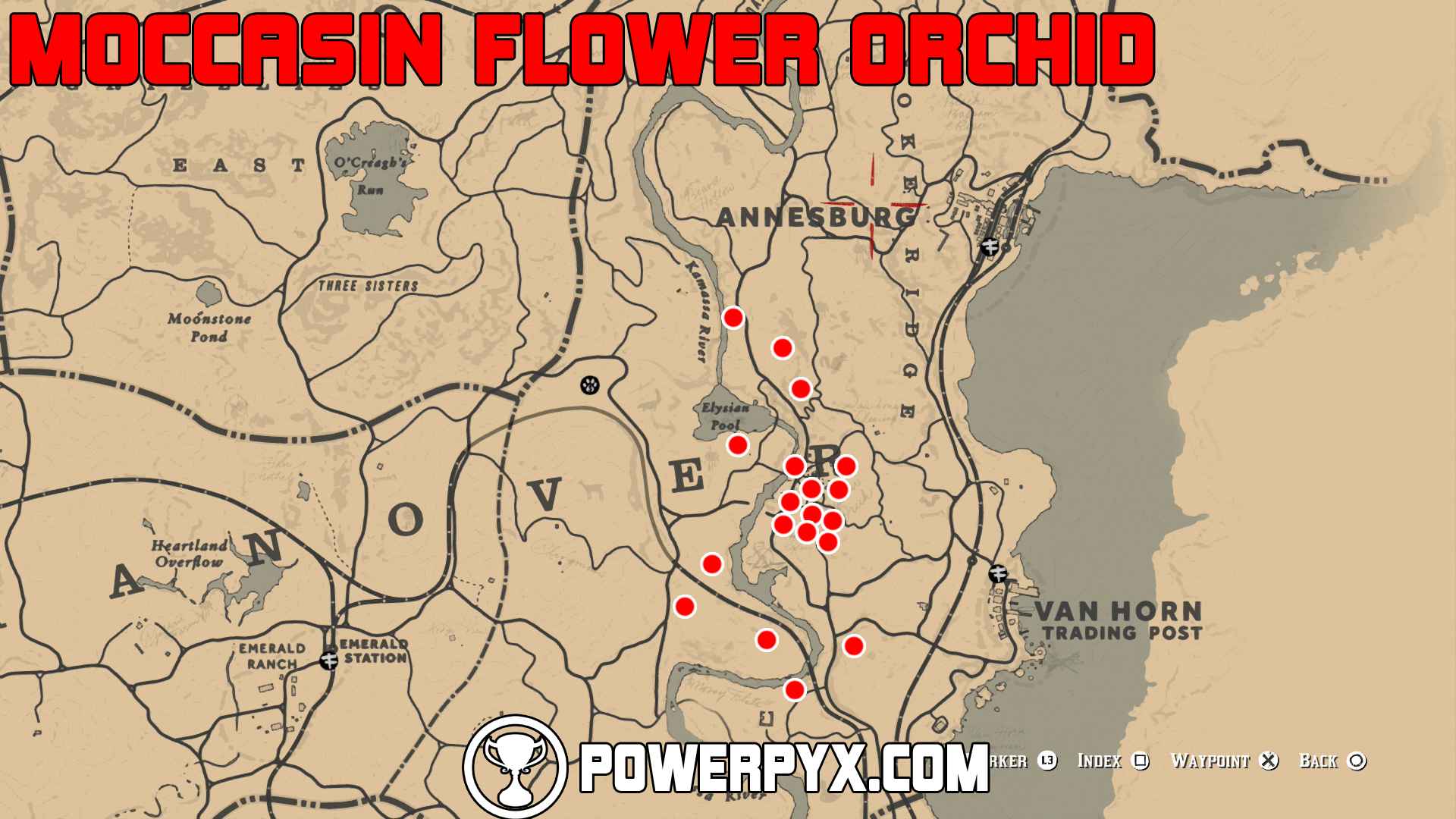 red dead redemption 2 exotic moccasin flower orchid location