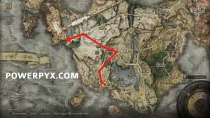 Elden Ring Trophy Guide & Road Map