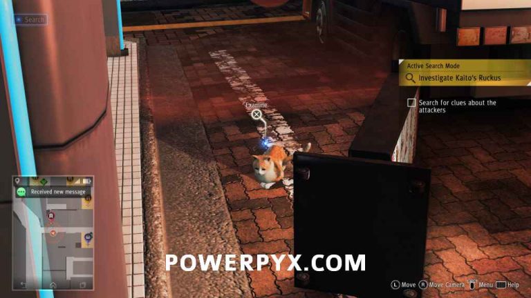 Judgment Stray Cat Locations