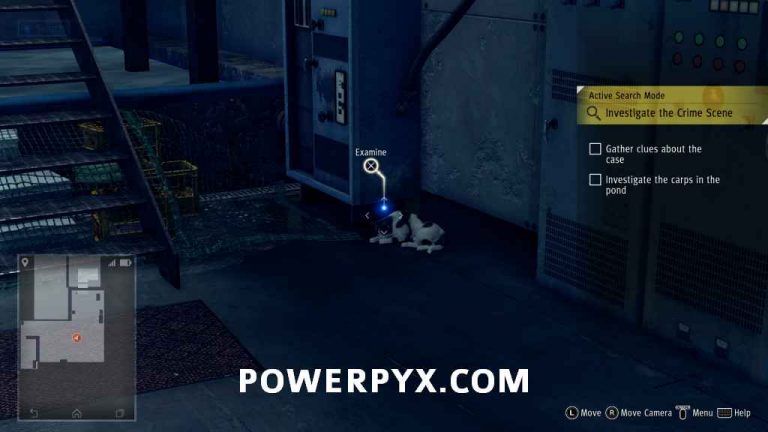 Judgment Stray Cat Locations