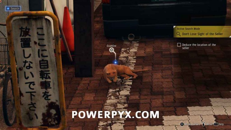 Judgment Stray Cat Locations