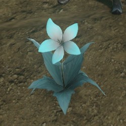 NieR Replicant White Moonflower Guide: How to Get Legendary Gardener –  GameSkinny