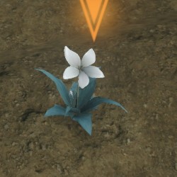 Nier Replicant Gardening guide: how to cultivate flowers and the Lunar Tear  for the Legendary Gardener trophy