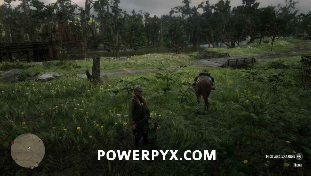 Red Dead Redemption 2 Plants Locations
