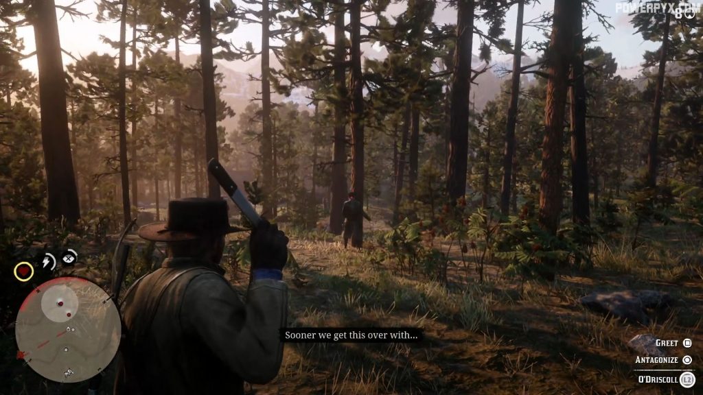 Red Dead Redemption 2 Paying a Social Call Walkthrough
