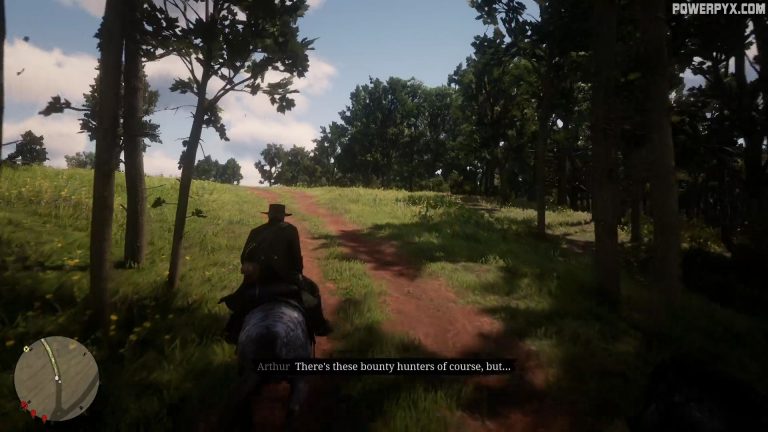 Red Dead Redemption 2 Magicians for Sport Walkthrough