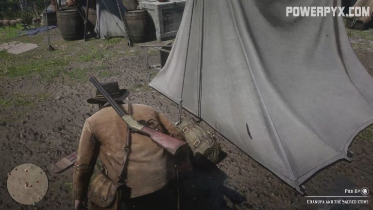 Red Dead Redemption 2 Archeology for Beginners Walkthrough