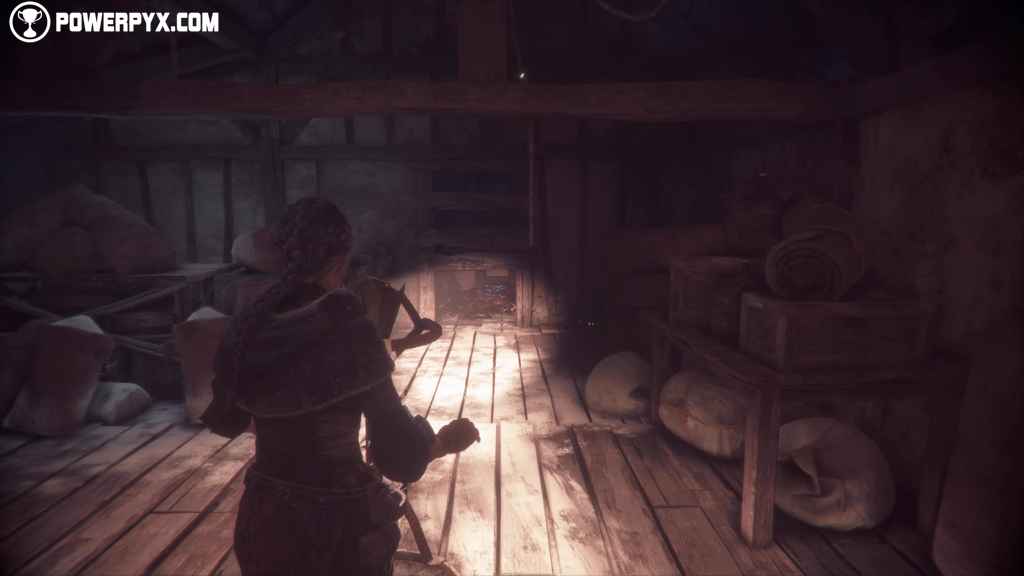 A Plague Tale Innocence - Chapter 9 Gameplay Walkthrough 