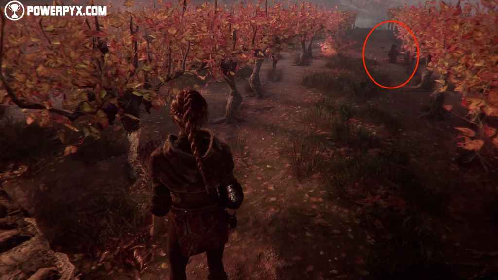 How To Unlock The Tribute Trophy/Achievement In A Plague Tale