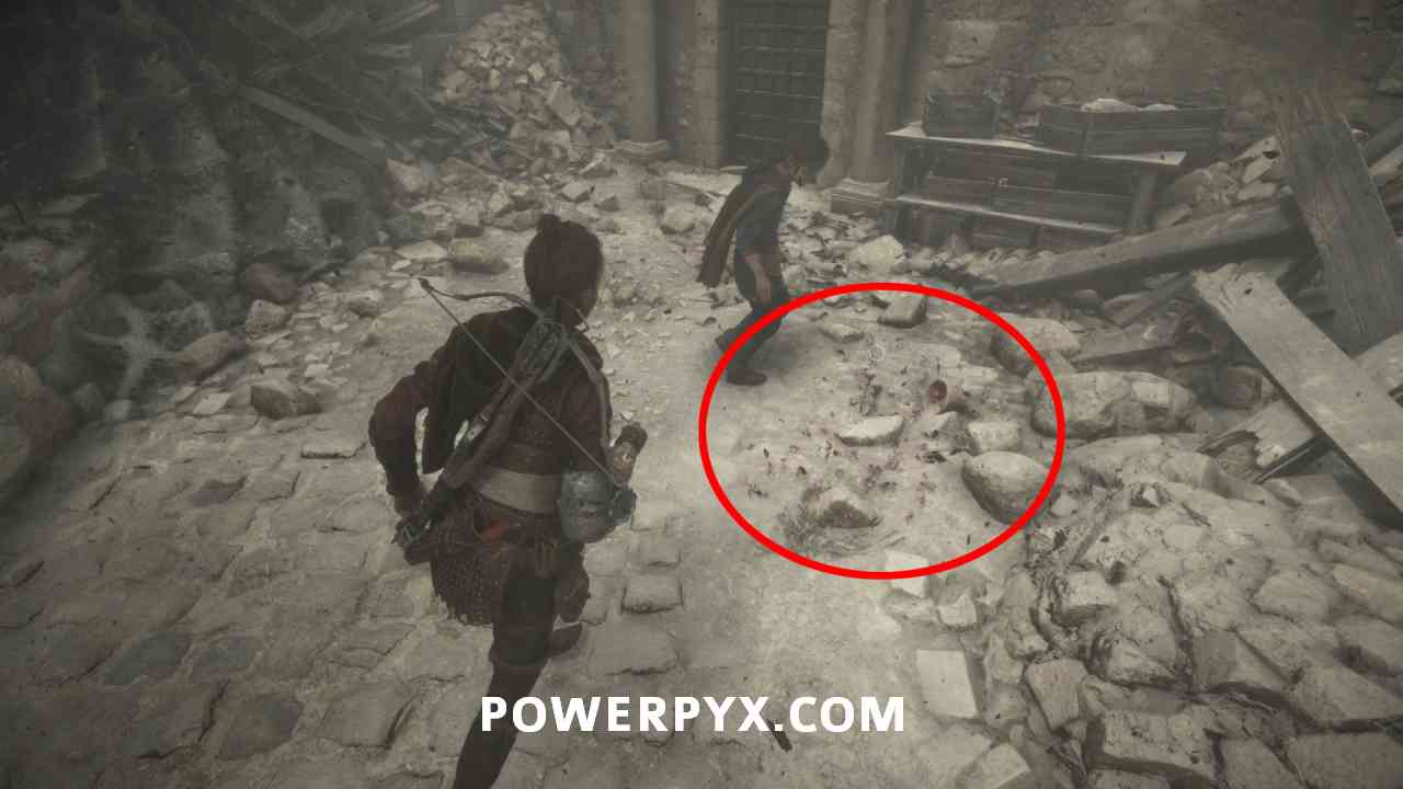 Where to find the Hugo's Herbarium Collectible in Chapter 4 in A Plague Tale:  Requiem - Gamepur