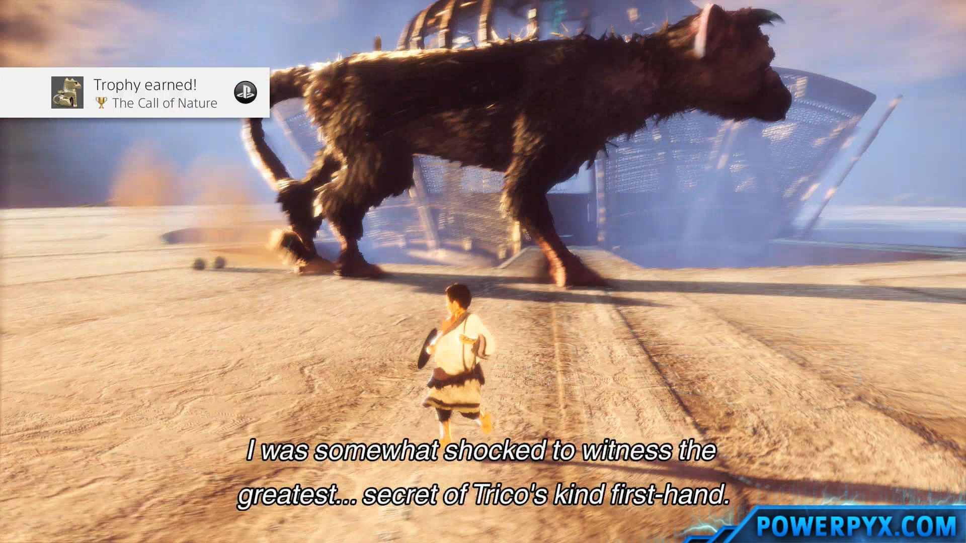 The Last Guardian walkthrough part 10: Feeding Trico (again) - Polygon