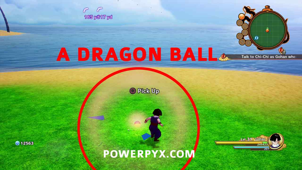 Collect all seven Dragon Balls and summon Shenron in DRAGON BALL Z