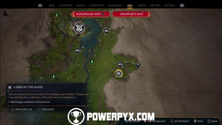 A Bird In The Hand: Hogwarts Legacy's Late-Game Mysteries