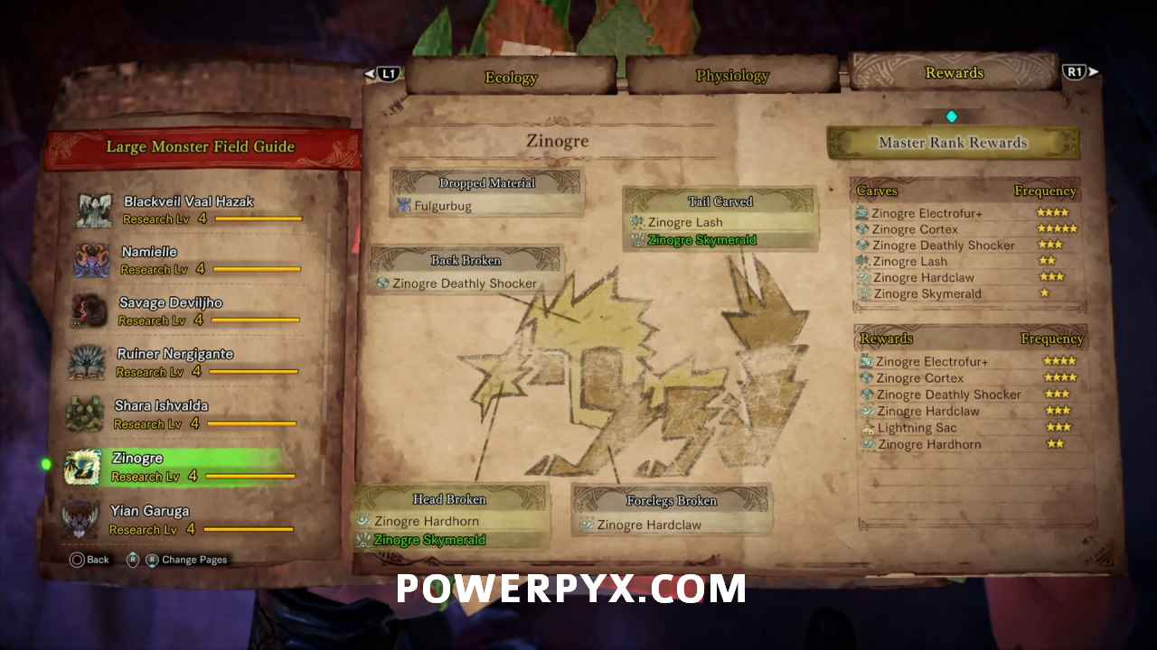 Zinogre - Unlocking, Strategy, Weakness, Rewards, Breaks - Monster