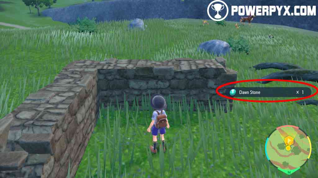 Where to find Dawn Stones in Pokémon Scarlet and Violet