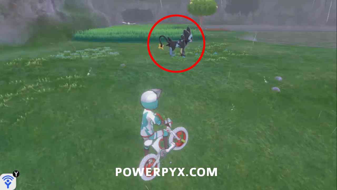 Pokemon Sword and Shield Spawn Locations