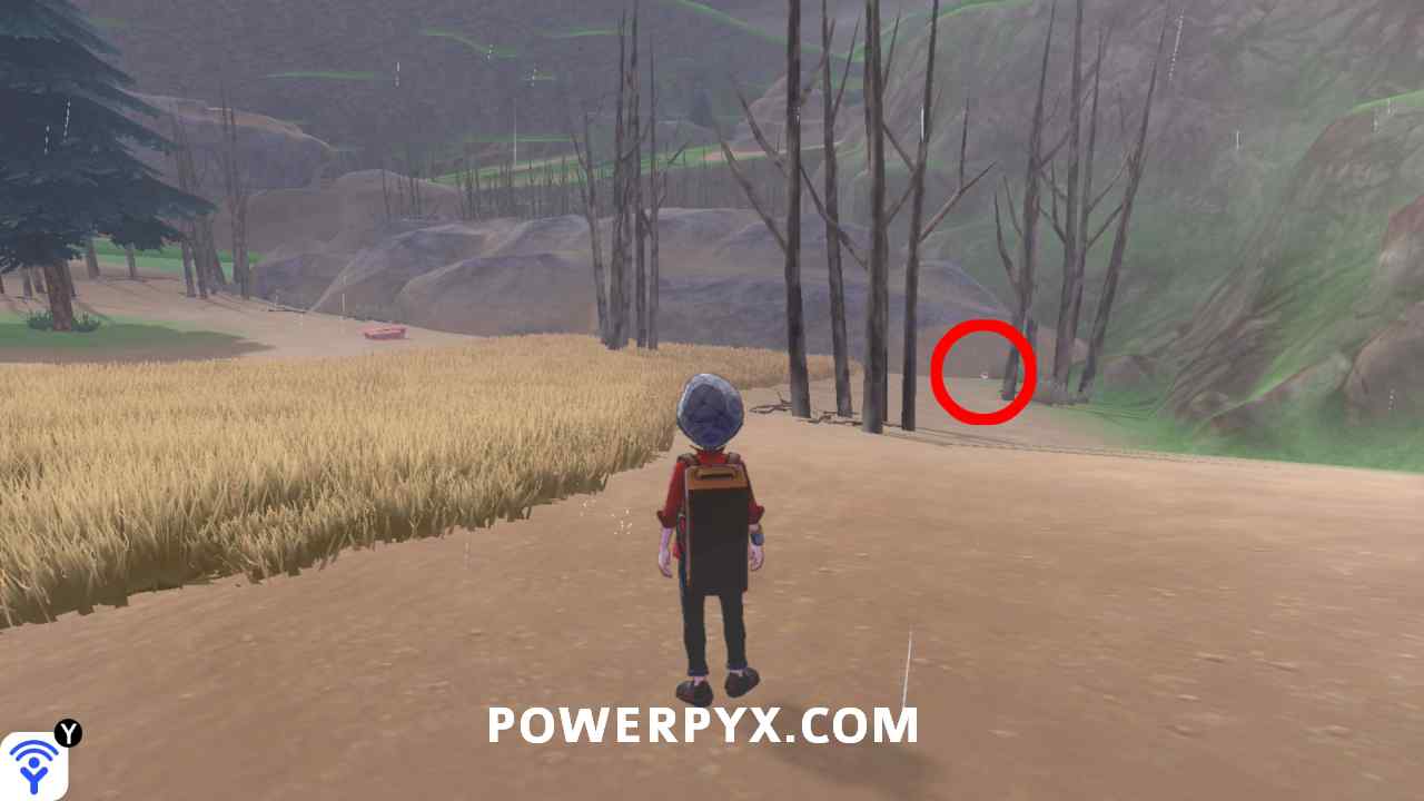 Dawn Stone Location In Pokemon Sword & Shield (Early Game) 