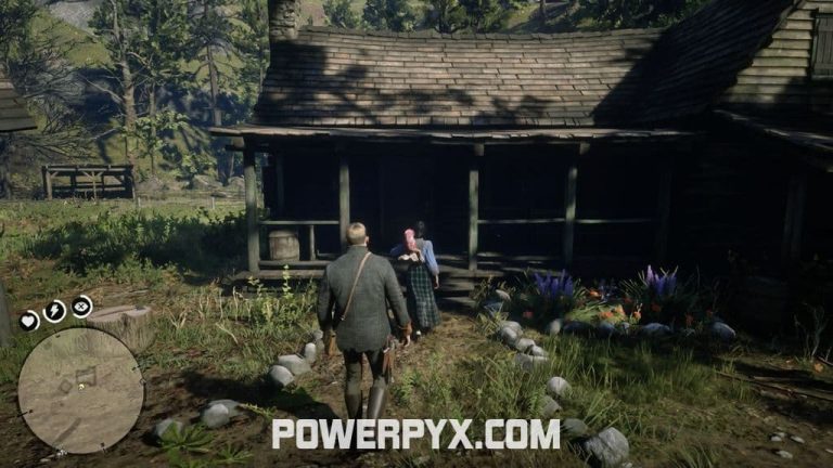 Red Dead Redemption 2 The Widow of Willard's Rest Stranger Encounter