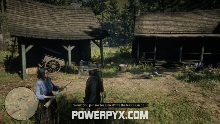 Red Dead Redemption 2 The Widow of Willard's Rest Stranger Encounter