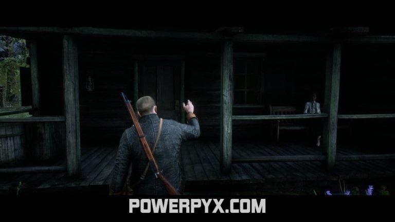 Red Dead Redemption 2 The Widow of Willard's Rest Stranger Encounter