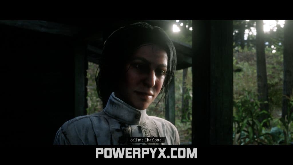 Red Dead Redemption 2 The Widow Of Willard S Rest Stranger Encounter