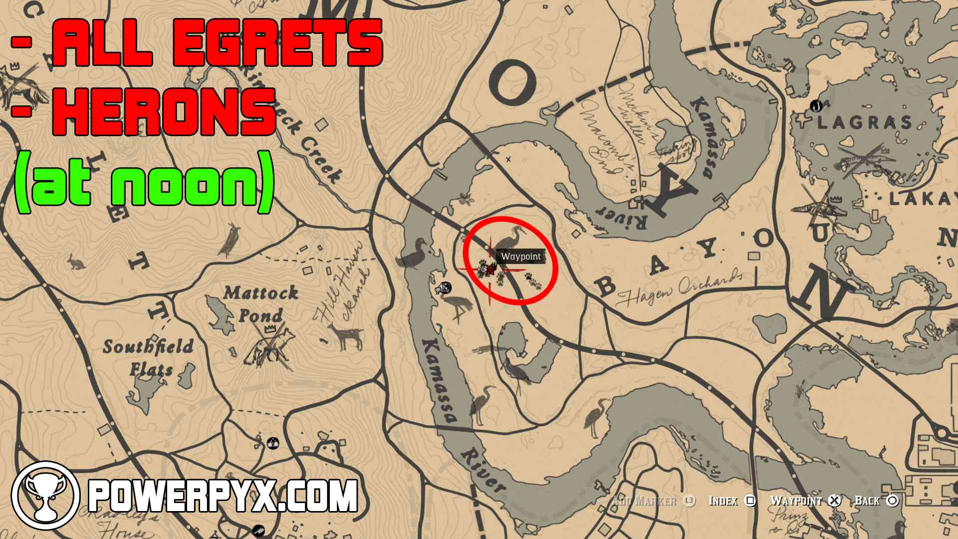 Red Dead Redemption 2 All Exotics Locations