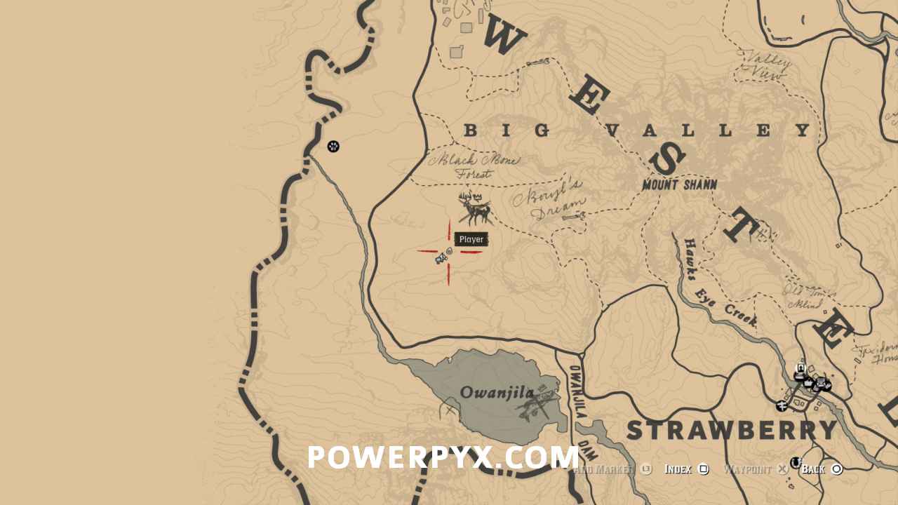 Red Dead Redemption All Weapons Locations