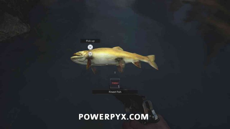 Re8 Fish Resident Evil 8 Village How to Get Finest Fish