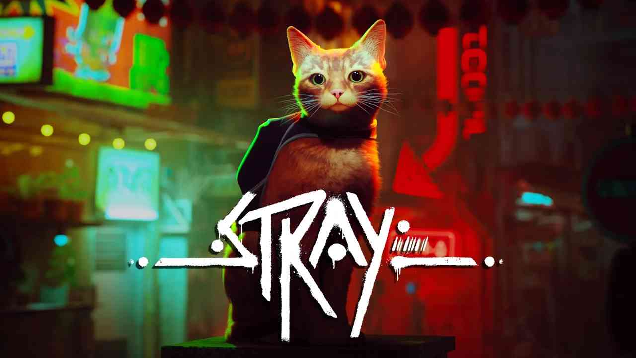Stray (video game) - Wikipedia