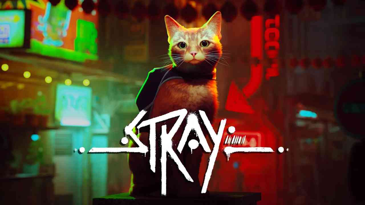 Stray, Stray Wiki