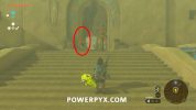 Zelda Tears of the Kingdom - Riju of Gerudo Town Walkthrough