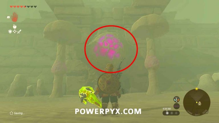 Zelda Tears of the Kingdom - Riju of Gerudo Town Walkthrough